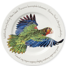 Parrot 30cm Flat Rimmed Plate (limited edition)