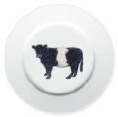 Belted Galloway Cow 19cm Flat Rimmed Plate