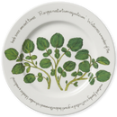 Watercress 30cm Flat Rimmed Plate