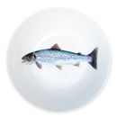 Sea Trout 13cm (5") Bowl