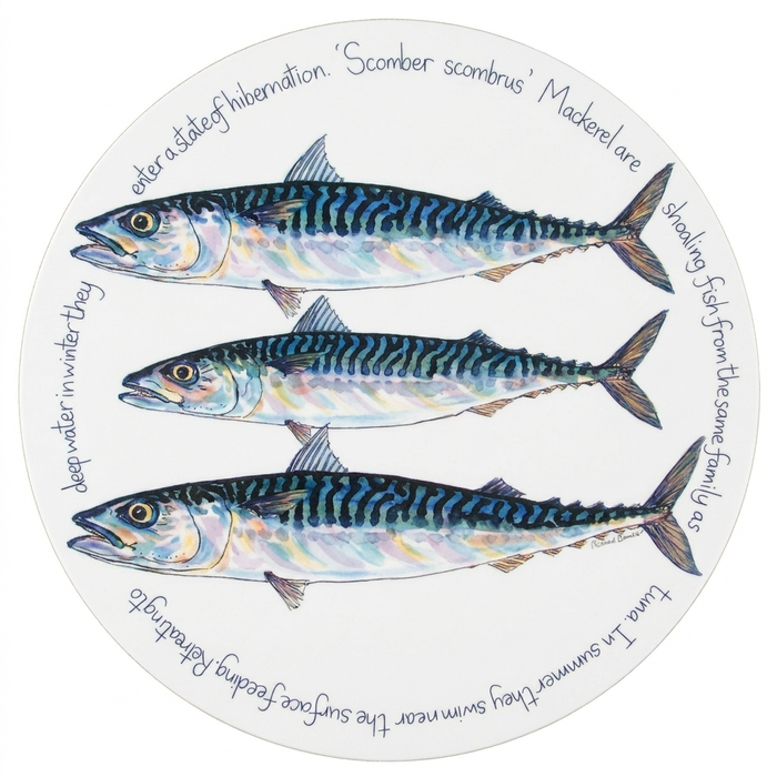 Sea Fish Tablemat Set of 6 in use