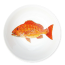 Red Snapper 13cm (5") Bowl