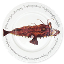 Monkfish 30cm Flat Rimmed Plate