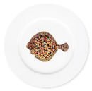 Turbot 19cm Flat Rimmed Plate