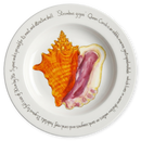 Conch 30cm Deep Rimmed Plate