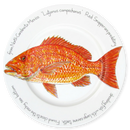 Red Snapper 30cm Flat Rimmed Plate