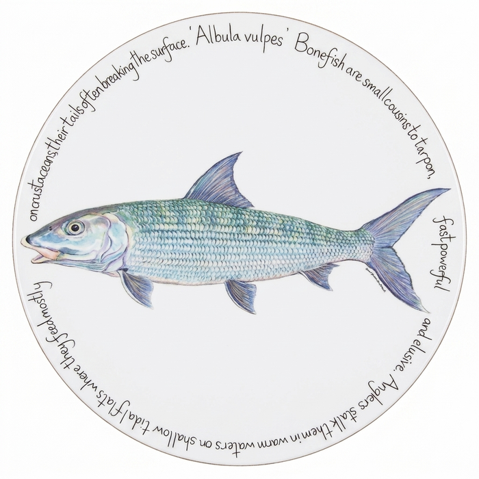 Saltwater Gamefish Tablemat Set of 6 in use