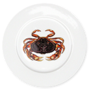Dungeness Crab 19cm Flat Rimmed Plate