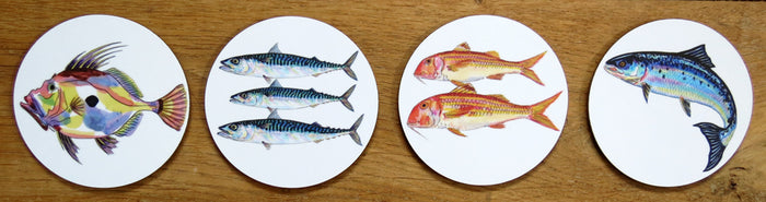 Sea fish 4 coaster gift selection in use