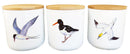 Seabird Storage Jar
