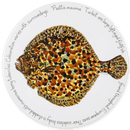 Turbot Tablemat