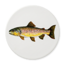 Richard Bramble Brown Trout Coaster