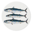 Mackerel Coaster