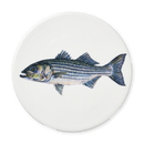 Richard Bramble Striped Bass Coaster