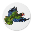 Richard Bramble Parrot coaster