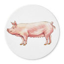 Richard Bramble Large White Pig Coaster