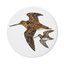 Richard Bramble Snipe Coaster