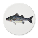 Richard Bramble | Sea Bass Coaster
