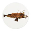 Monkfish Coaster