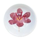 Saffron 13cm (5") Bowl