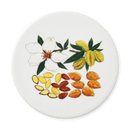 Almonds Coaster