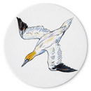 Gannet Diving Coaster