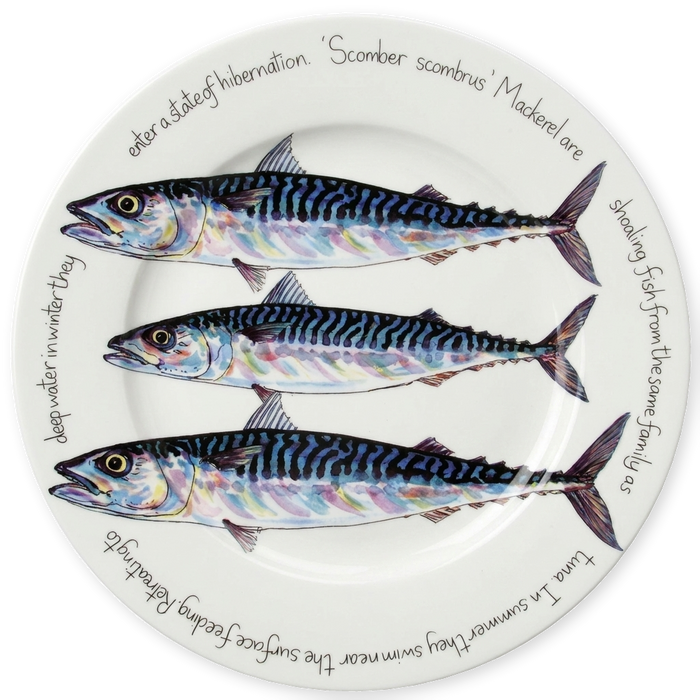 Sea Fish Large Dinner Plate Set of 6 in use