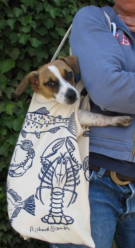 Cotton Eco-friendly Bag in use