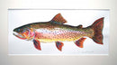 Cutthroat trout