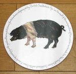 British Saddleback Pig Tablemat