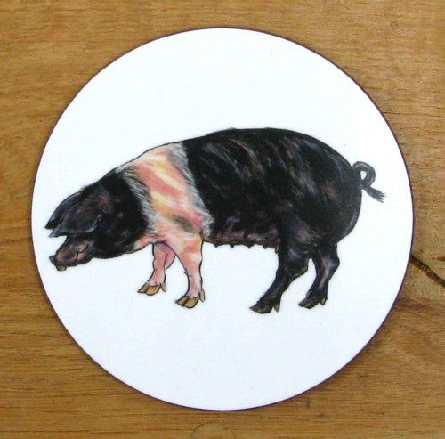 Richard Bramble | Saddleback Pig Coaster