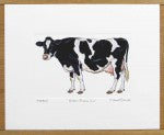 Holstein-Friesian Cow Print