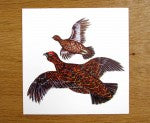 Red Grouse Greeting Card Richard Bramble in use
