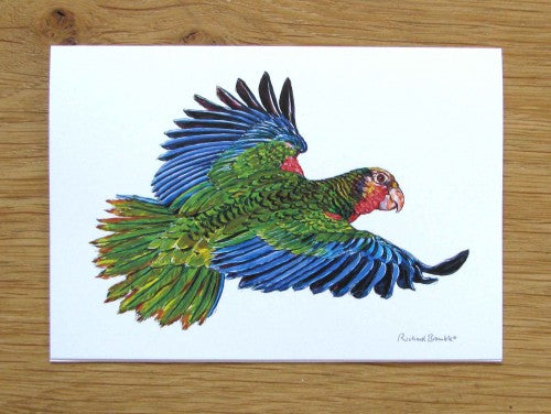 Parrot Greetings Card (printed to order)