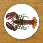 North American Lobster Coaster