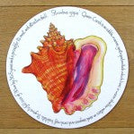 Queen Conch Tablemat