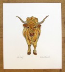 Toggenburg Goat print