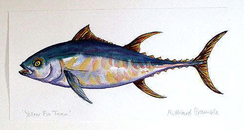 Yellow Fin Tuna Original Painting