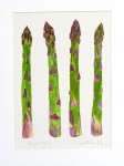 Asparagus Study Original Painting