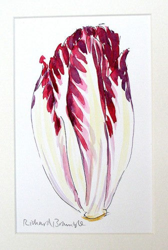 Chicory Original Painting