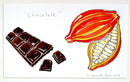 Cacoa Pod & Chocolate Bar Original Painting