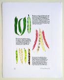 Beans Print