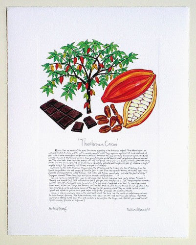 Chocolate & Cacao Print