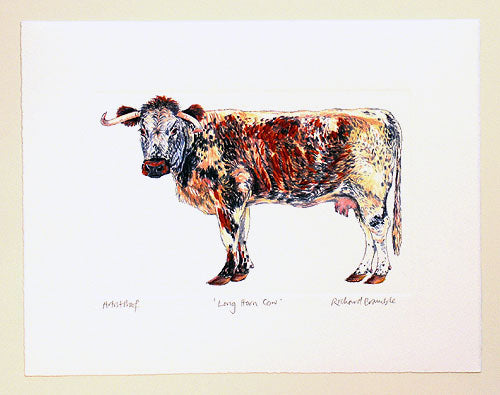 English Longhorn Cow Print