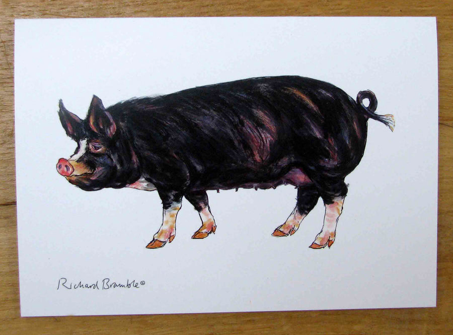 Berkshire Pig Greeting Card Richard Bramble (printed to order)