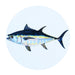 Bluefin Tuna Coaster by Richard Bramble cut out