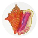 Conch Coaster