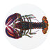 Richard Bramble North American Lobster Coaster