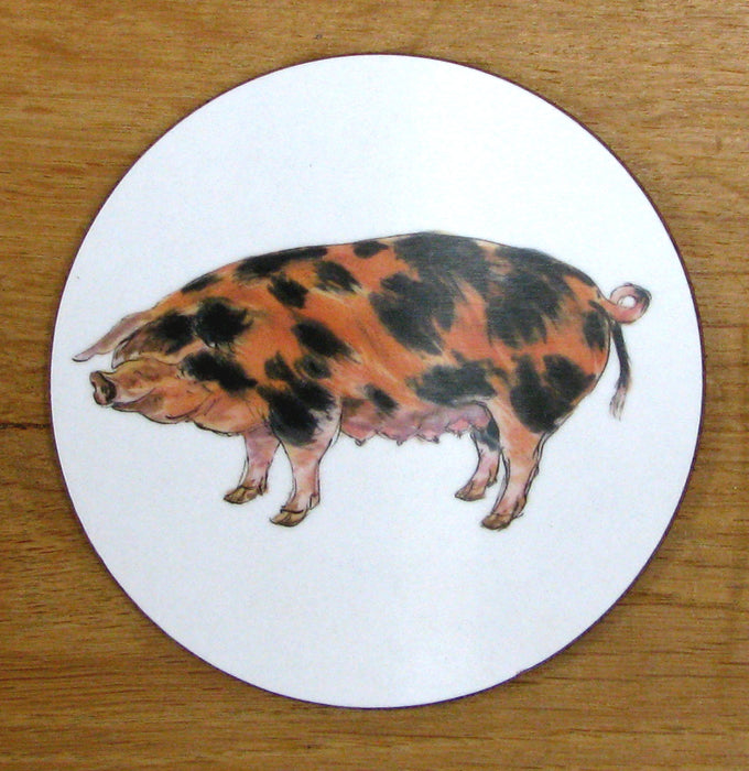 Richard Bramble Oxford Sandy Black Pig Coaster