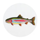Rainbow Trout Coaster